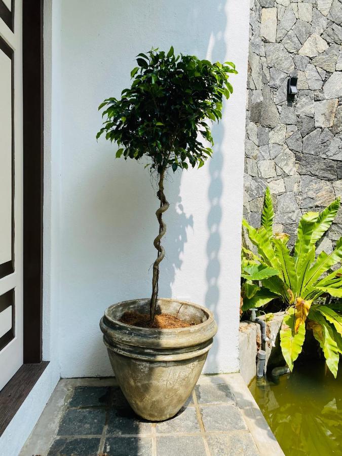 Thaprobana Villa Tangalle - Private Villa מראה חיצוני תמונה