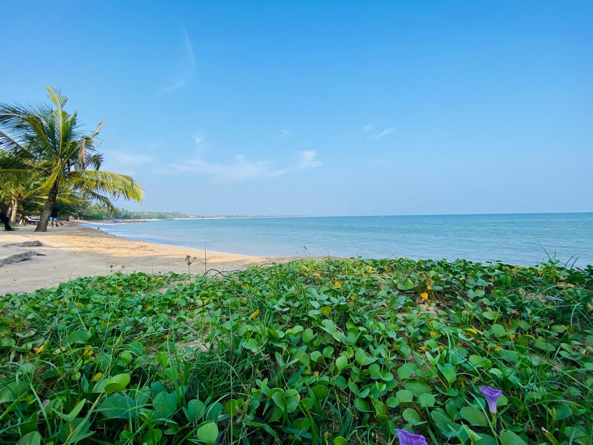 Thaprobana Villa Tangalle - Private Villa מראה חיצוני תמונה