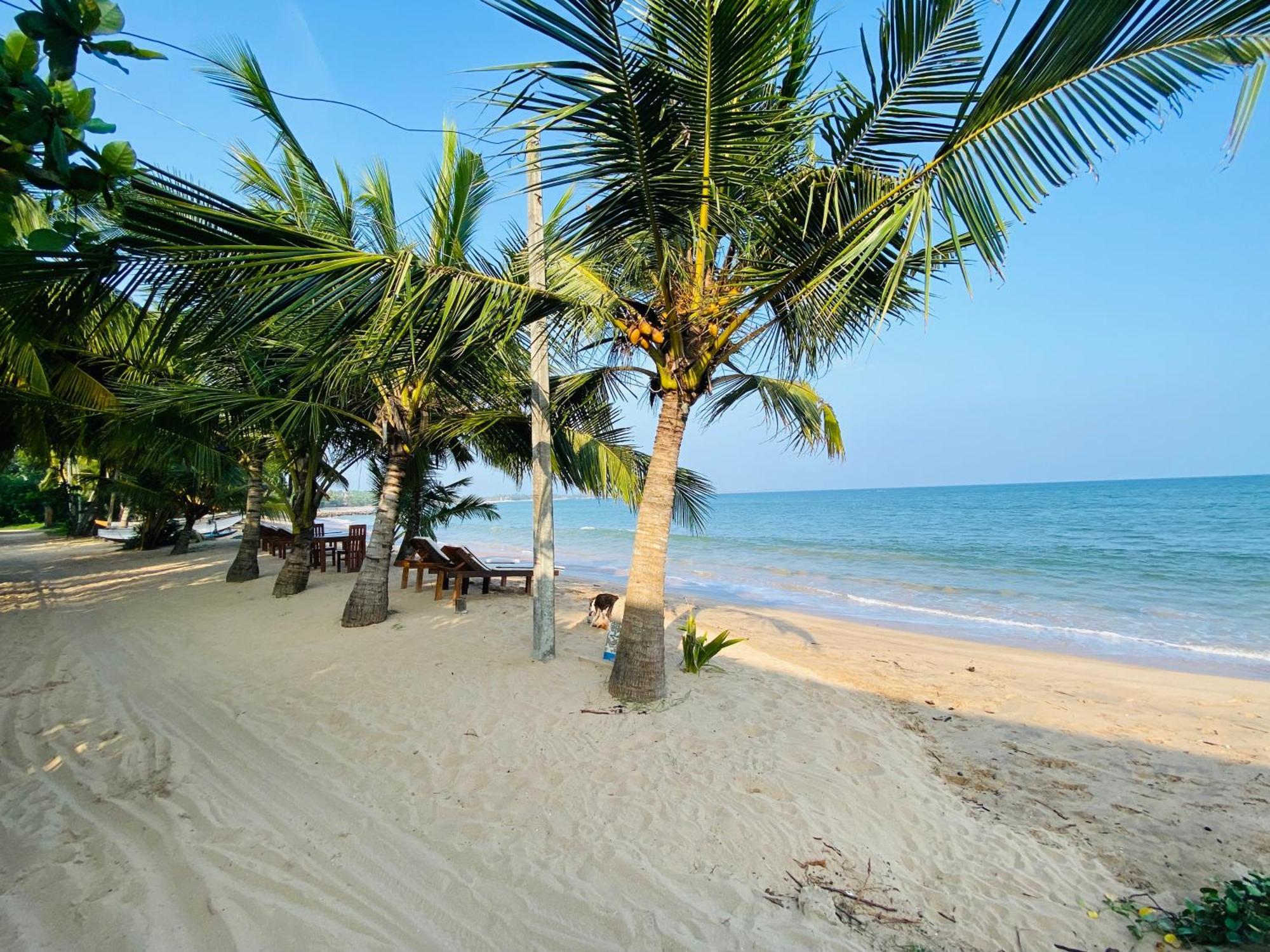 Thaprobana Villa Tangalle - Private Villa מראה חיצוני תמונה